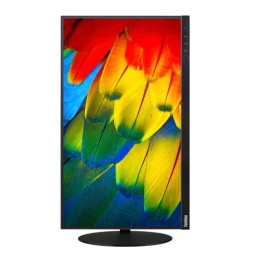Moniteur Lenovo 24" T24m-10-23.8 (HDMI+DP+Type-C)