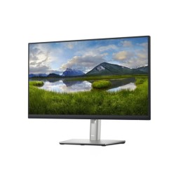 Écran 24" Dell P2422H IPS
