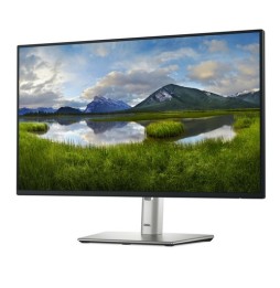 Écran 24" Dell P2425H