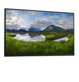 Écran 24" Dell P2425H