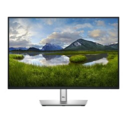 Écran 24" Dell P2425E
