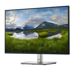 Écran 24" Dell P2425E