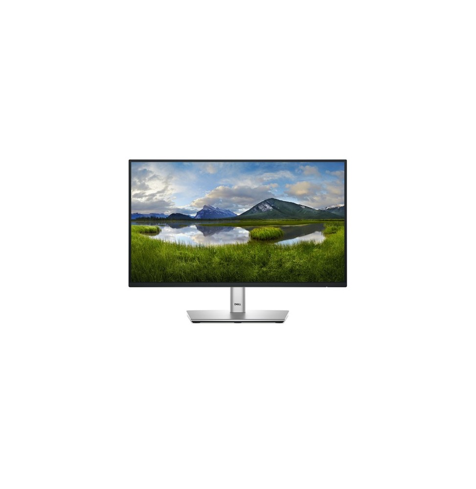 Écran 22" Dell P2225H