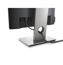 Écran 19" 5:4 Dell P1917SE Noir