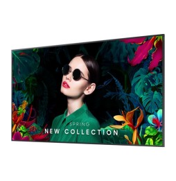 Samsung - Écran professionnel QM75C