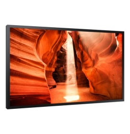 Samsung - Écran Vitrine 55" OM55N-S