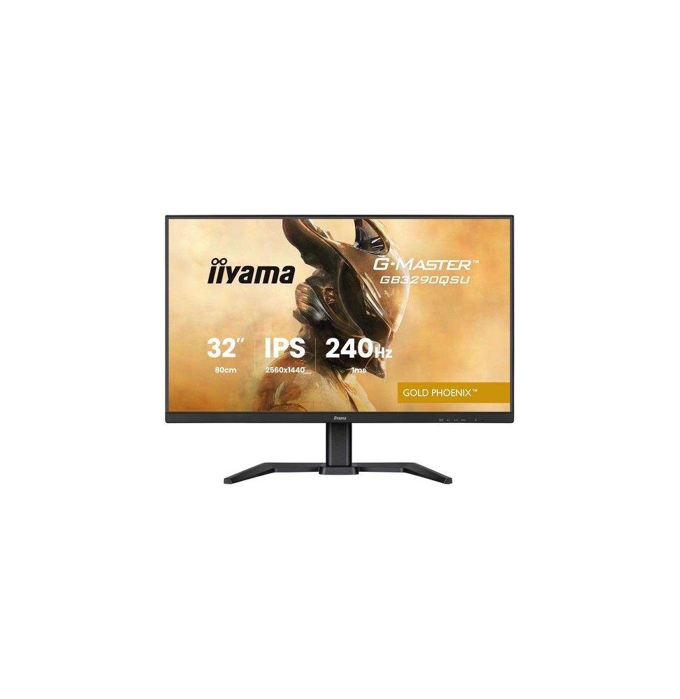 Écran 32" IIYAMA GB3290QSU-B1