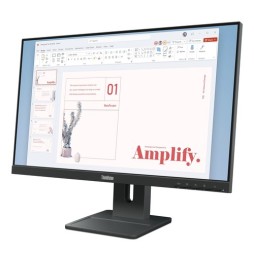 MO 23.8" Lenovo ThinkVision E24-40
