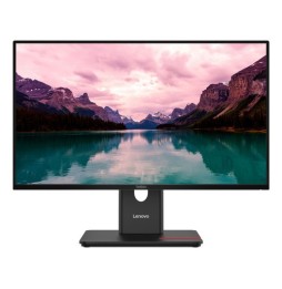 Écran 23.8" Lenovo T24-40 IPS