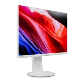Moniteur 23.8" Lenovo ThinkVision C24d-20