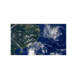 Écran 55" FHD OLED - LG 55EW5TF