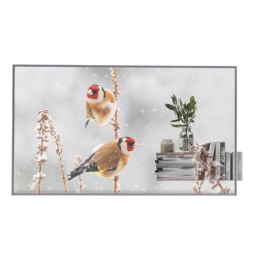 Écran 55" FHD OLED - LG 55EW5P-M