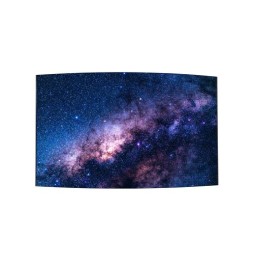 Écran 55" FHD OLED - LG 55EF5K-L