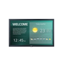 Moniteur 21.5" LG 22SM3G