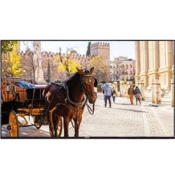 Moniteur 43" Vestel VB43B-2