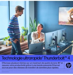 Station d'Accueil HP Thunderbolt 120W G4 Dock 2 USB 3.2 1 HDMI 4J0A2AA