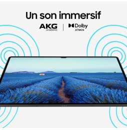 Tablette Galaxy Tab S9 11" 256Go Anthracite WIFI Android 13 RAM 12Go