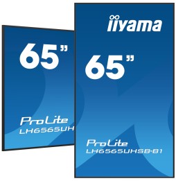 IIYAMA LFD 64,5" dalle IPS 24/7 4K UHD LH6575UHS-B1AG