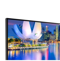 ECRAN LG 29" Noir 29WP500-B