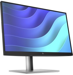 Moniteur HP E22 G5 21.5'' FHD