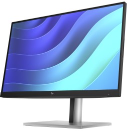 Moniteur HP E22 G5 21.5'' FHD