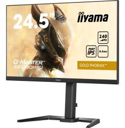 Ecran IIYAMA 25" Noir G-MASTER Gold Phoenix IPS 240Hz