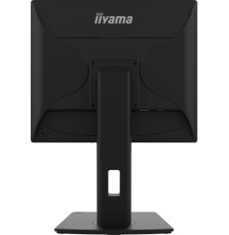 Ecran IIYAMA 19'' Noir LED dalle TN