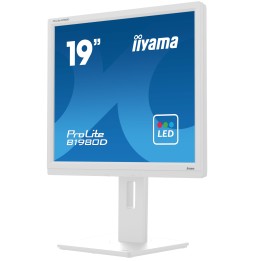 Ecran IIYAMA 19'' Blanc LED dalle TN