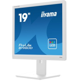 Ecran IIYAMA 19'' Blanc LED dalle TN