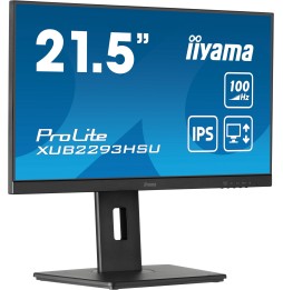 Ecran IIYAMA 21.5" Noir