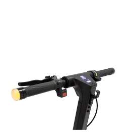 Trottinette Aprilia ESR2 avec clignotant Cadre Magn Moteur 350W 19,5Nm Pneu 10''